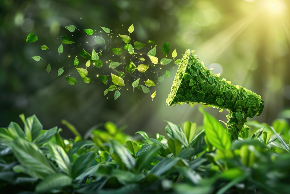 Grøn markedsføring: nye opfordringer til mode- og flybranchen